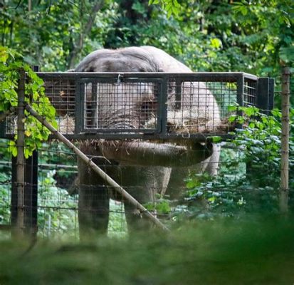 q寵物旅遊紐約多久_為什麼紐約的動物園總是那麼人山人海